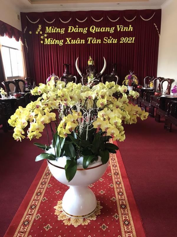 Thảm phòng Khánh tiết 02 - Ảnh 15