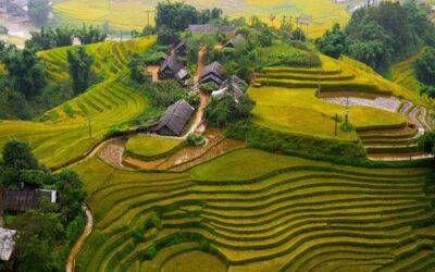 Bảng báo giá tranh dán tường Cần Thơ