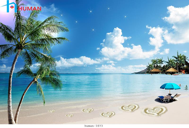 Tranh dán tường Cần Thơ