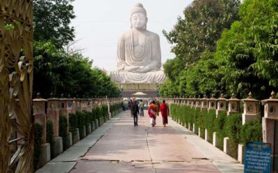 Tranh dán tường khổ lớn Cần Thơ