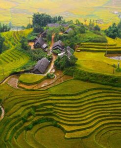 Tranh dán tường 6756